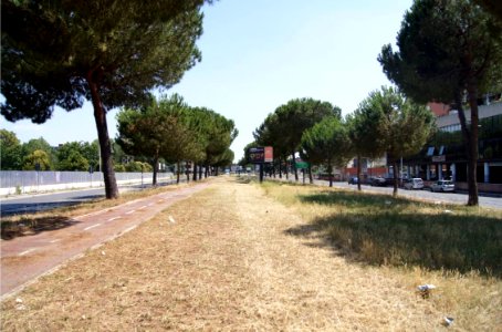 Via Palmiro Togliatti: com'è ora