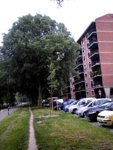 ADESSO SONO PICCOLO… (di Filippo Vaccaneo)