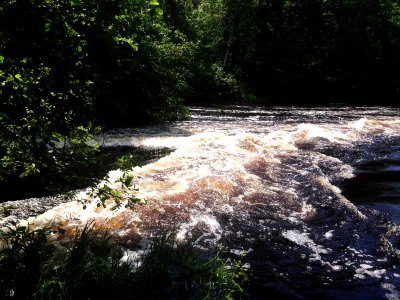 GolanskaJ StinnettLanding HighWaterThroughShoot 20180620 vpr