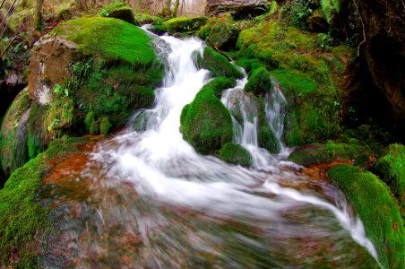 torrente photo