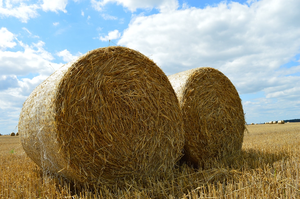 Harvesting straw bale photo