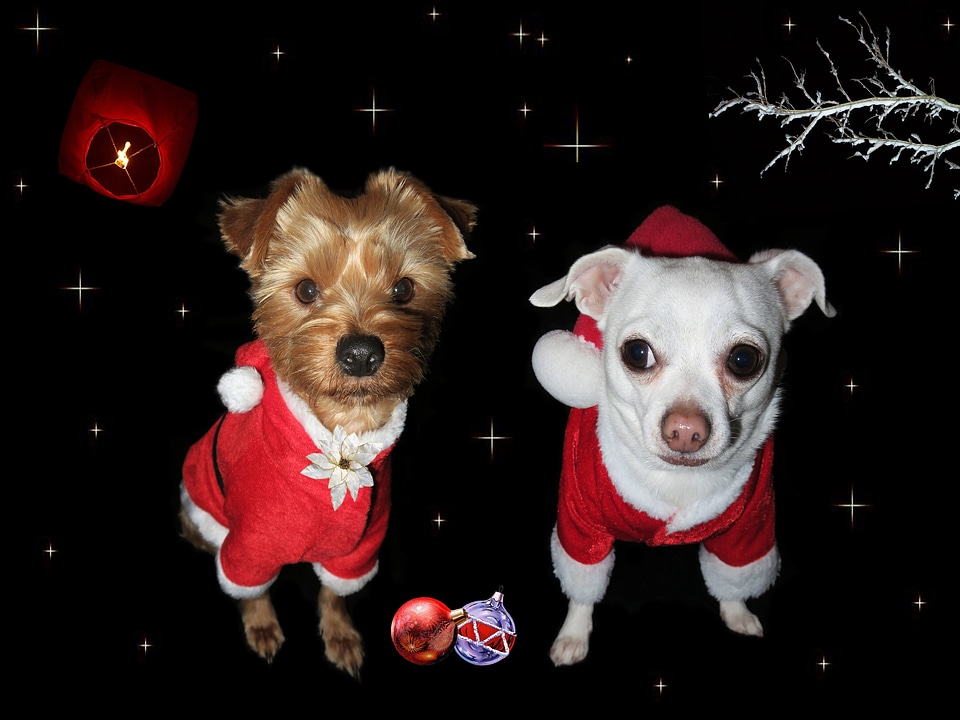 Christmas card party celebration