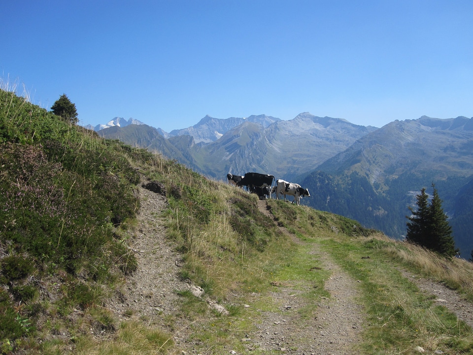 Rock hiking south tyrol