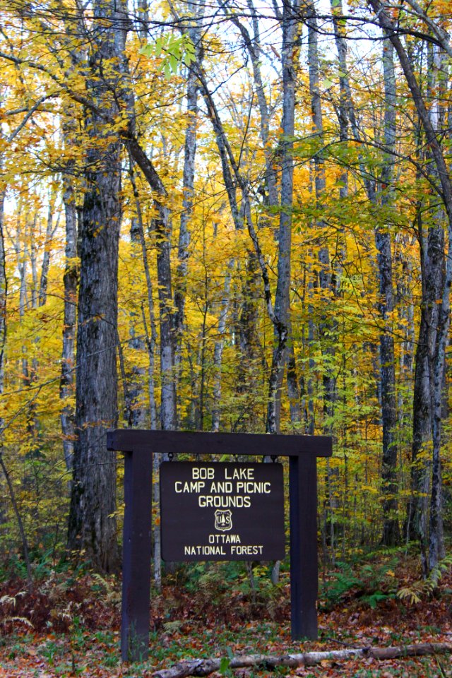 ONF BobLakeCampground FC10182016