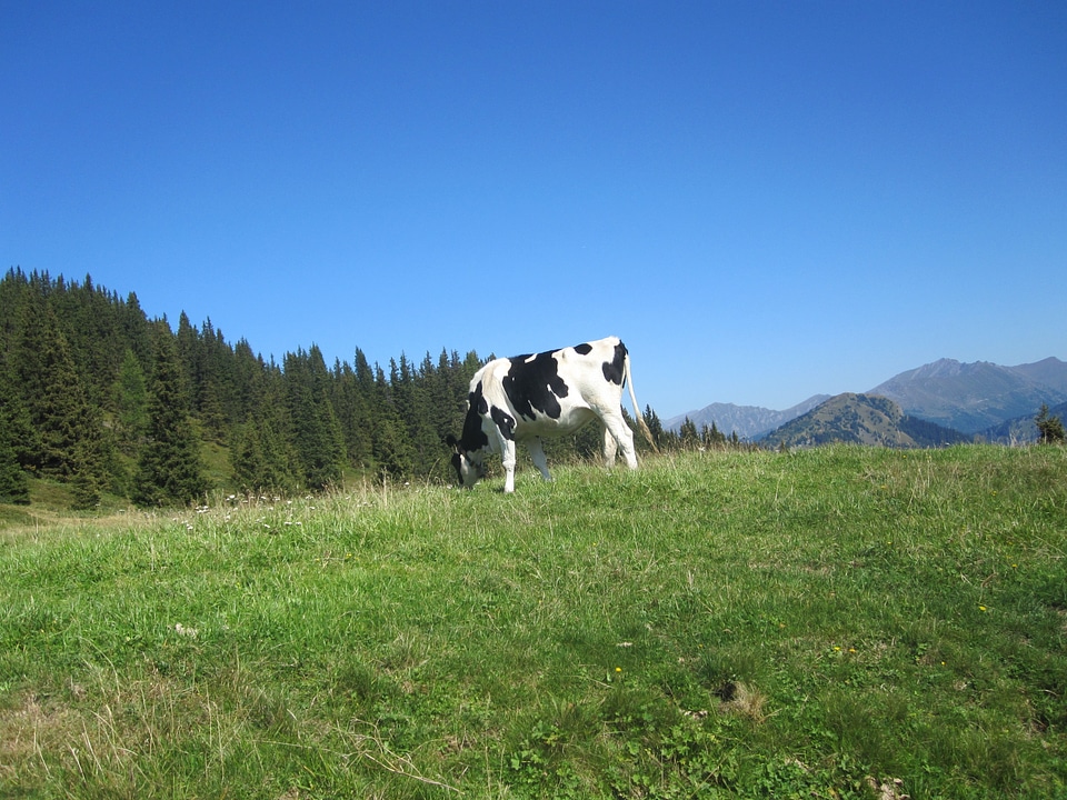 Hiking south tyrol landscape