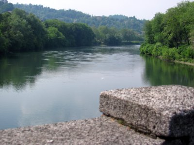 88. COM'E' BELLA LA NATURA: UN PO DI PACE (di Tommaso Sesana) photo