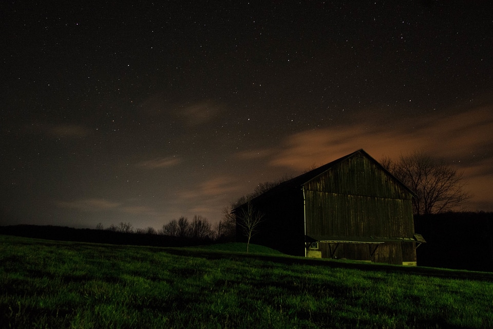 Stars barn grass photo