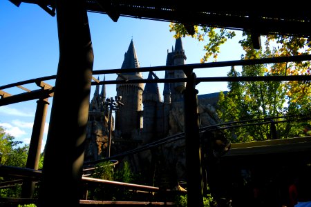 IMG 0316.JPG