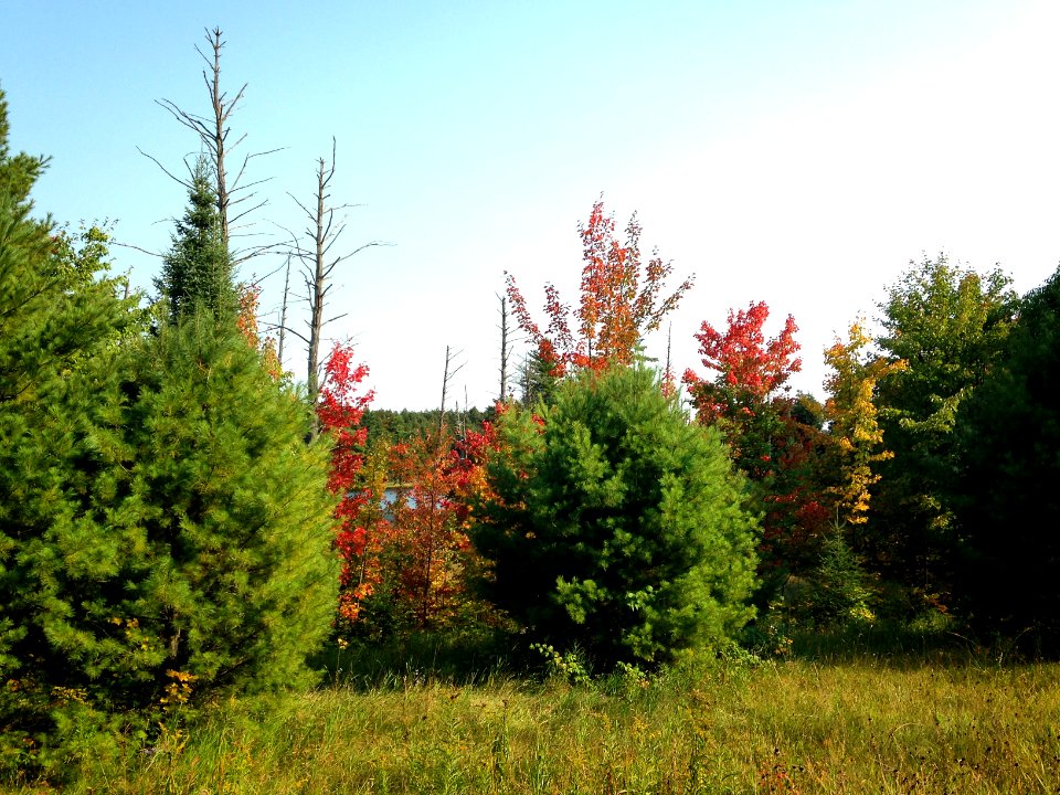 170914-FS-Ottawa-SH-032