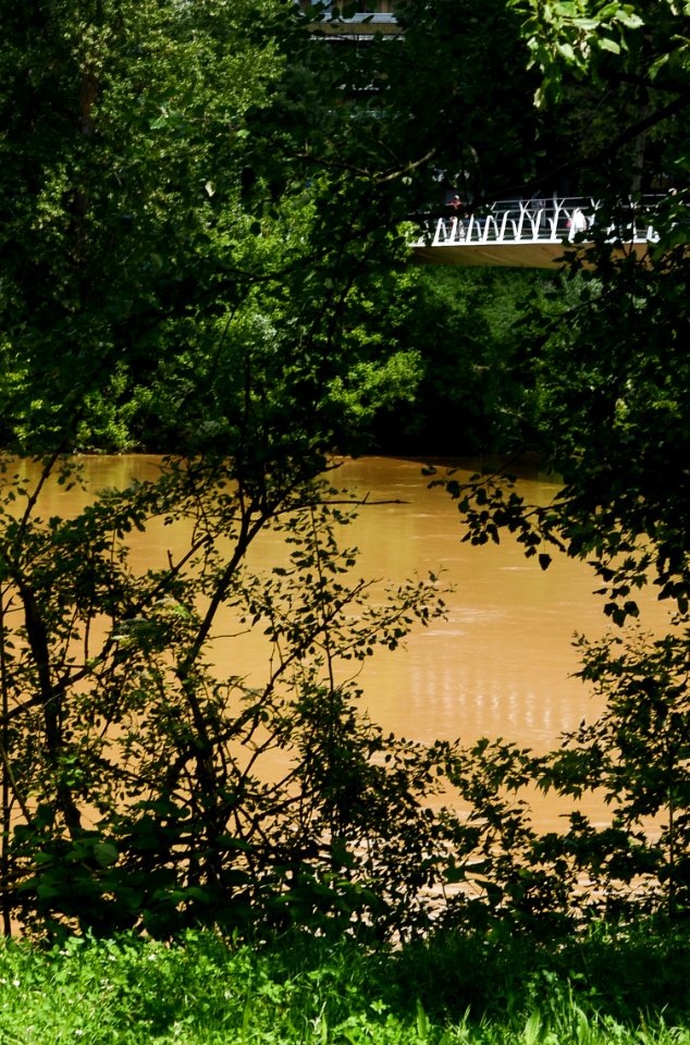 47. IL FIUME DOPO LE PIOGGE (di Luca Fop)