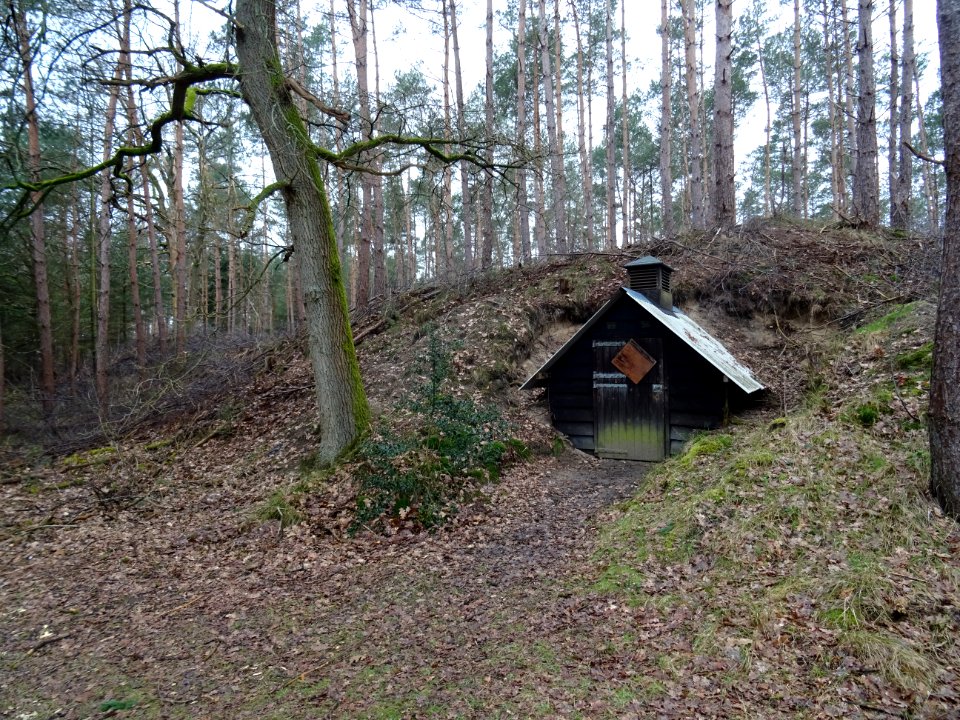 Kabouterhutje herbezocht