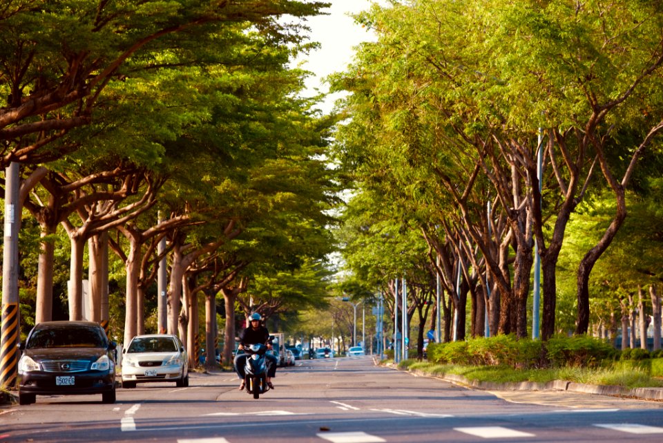 阿公店路二段（柳橋西路與空醫院路之間）