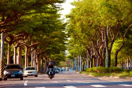 阿公店路二段（柳橋西路與空醫院路之間）