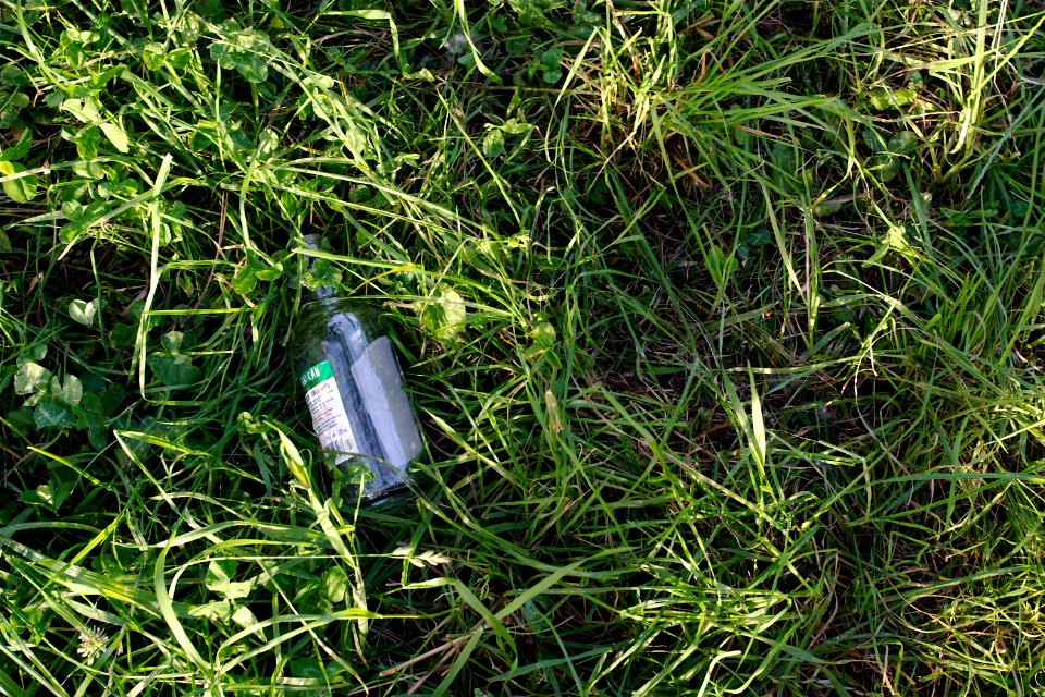 VERDE CONTAMINATO (di Alessandro Burzio)