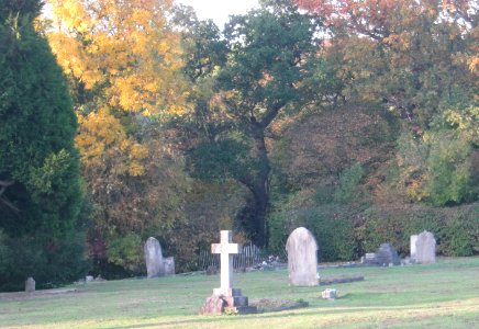 Angel Fallen Grave 03