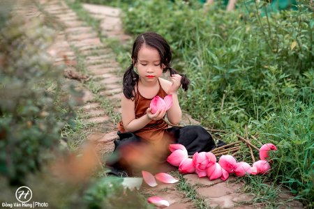 5 - Đồng Văn Hùng photo