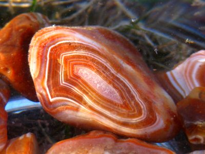 Agate photo