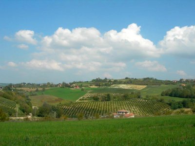 55. A PERDITA D'OCCHIO (di Rebecca Greco)
