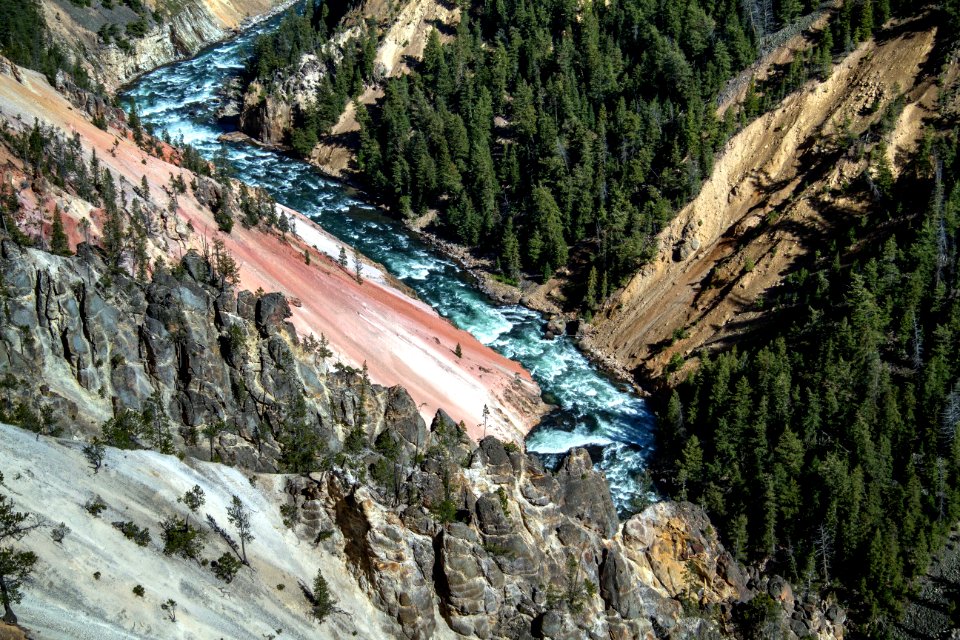 Grand Canyon of Yellowstone