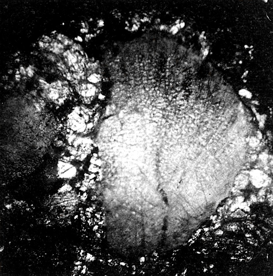 Table 06 - Figure 4