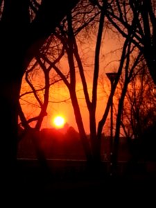 APERTURA SUL SOLE (di Marta Gramaglia)