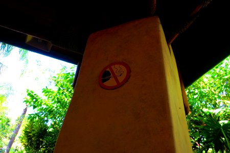 DINOSAURS ARE NOT ALLOWED TO SMOKE