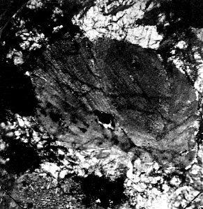 Table 05 - Figure 3