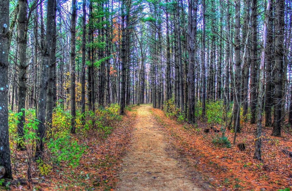 Road trail path photo