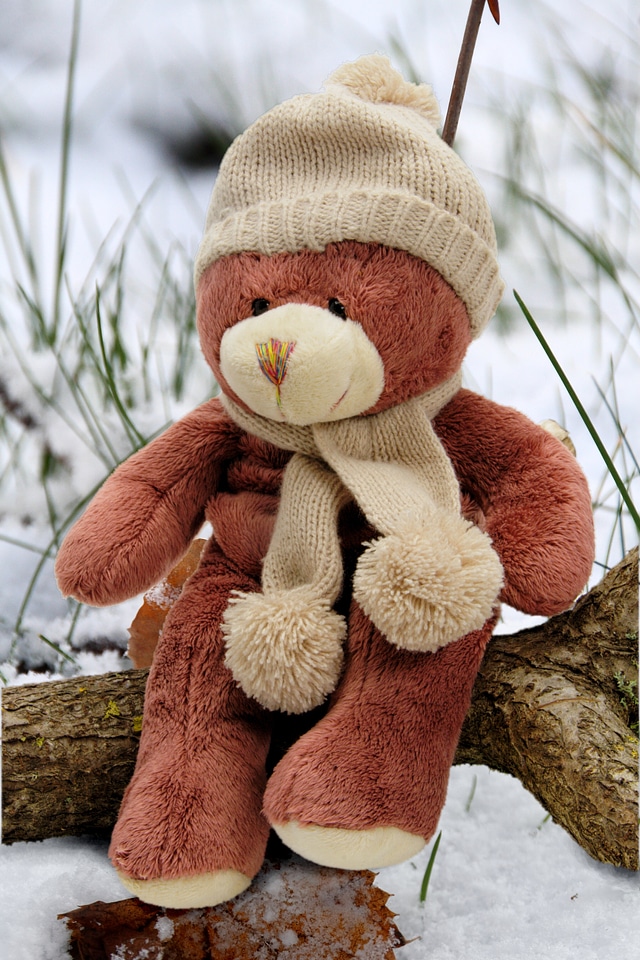 Plush teddy bear stuffed animal