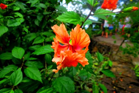 IMG 0878