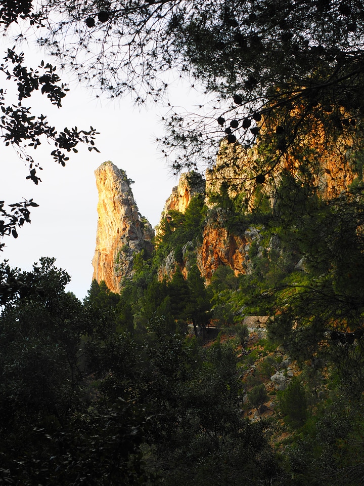 Serpentine road ma-2141 mallorca
