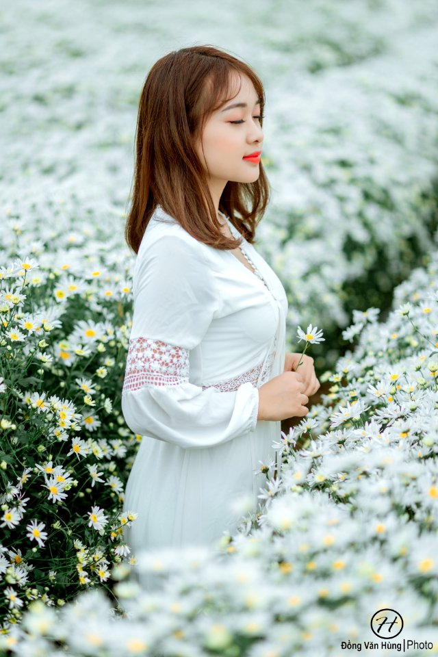 Đồng Văn Hùng; chụp ảnh cúc họa mi