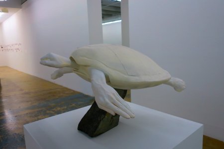 IMG 0711