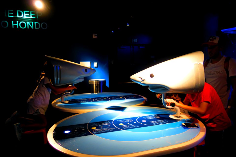 Big fishies