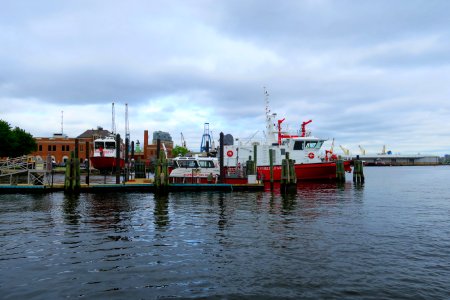 A nifty collection of fire boats