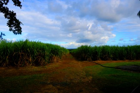IMG 0959