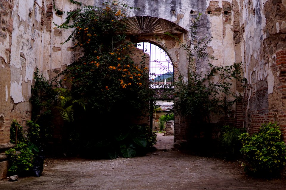 Old cathedral in Antigua