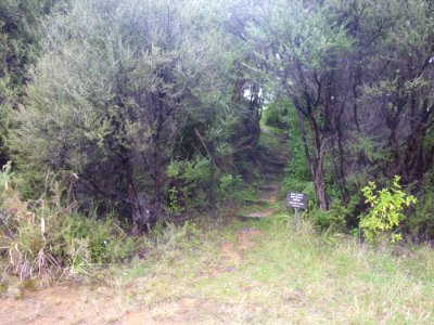 path leading to cabin photo