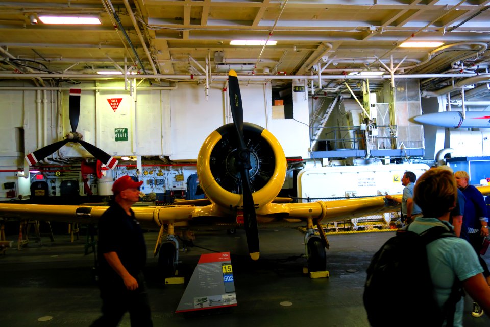 IMG 0564.JPG