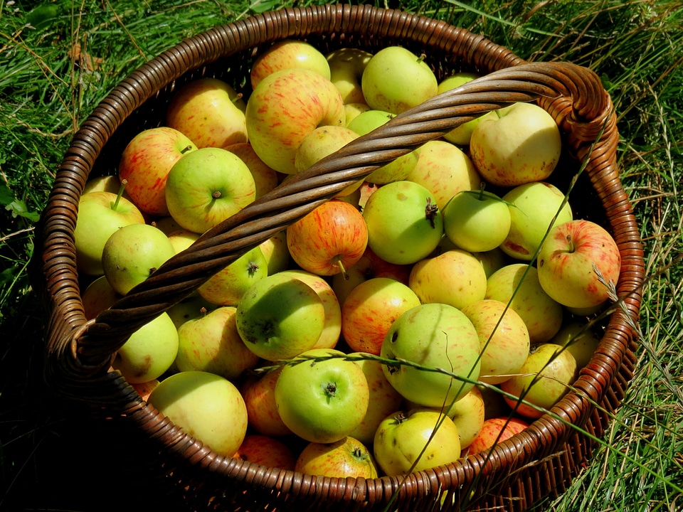 Vitamins healthy fruits