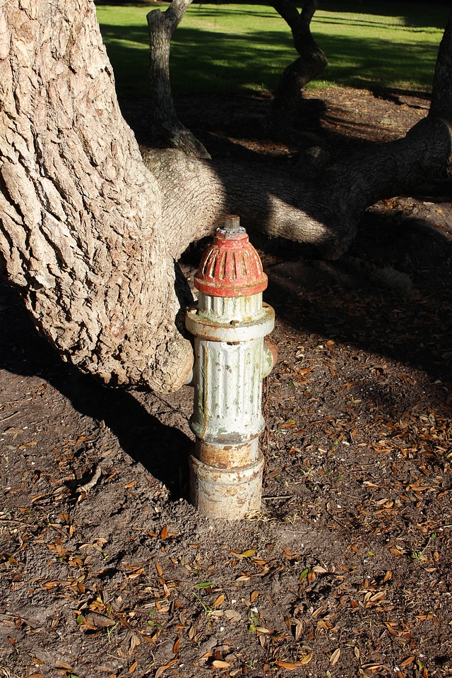 Rusty fire plug