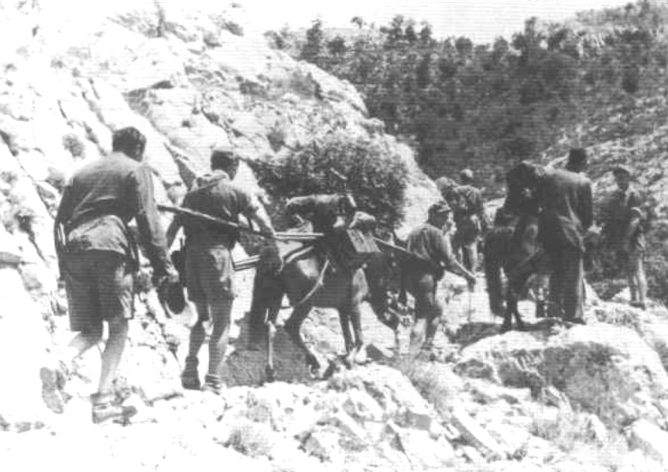 Serbia, unidad alemana en un camino peligroso