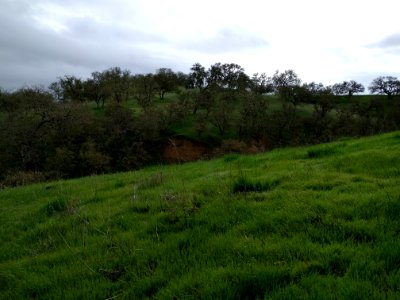 Green Hills photo