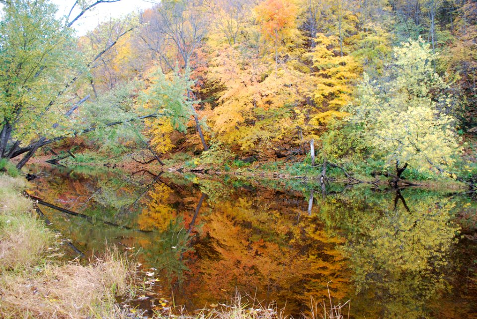 MedlandJ MileLongIslandChannel AutumnReflection 20081014 vpp