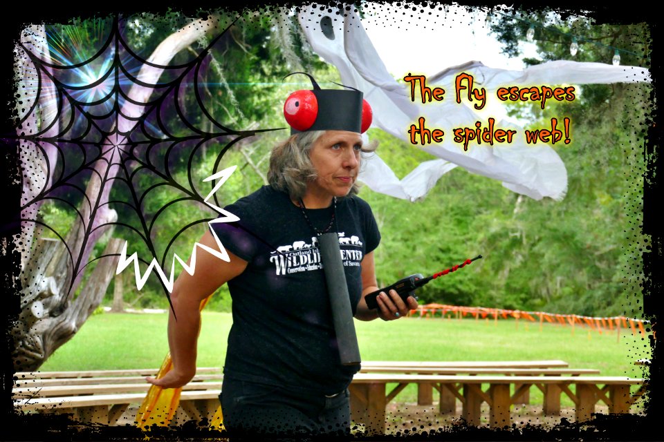 There once was a spider that swallowed a fly