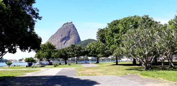 Depending on the position of the Sun, you can see an ibis bird taking flight, appearing on the rock of the Sugarloaf Mountain, in Rio de Janeiro. photo
