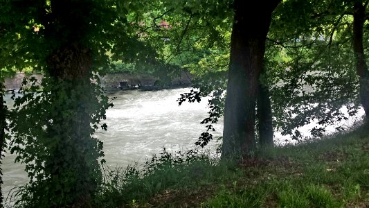 60. FIUME D'ARGENTO (di Irene LaPorte)