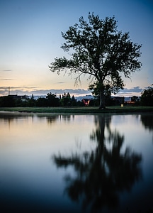 Nature water reflections