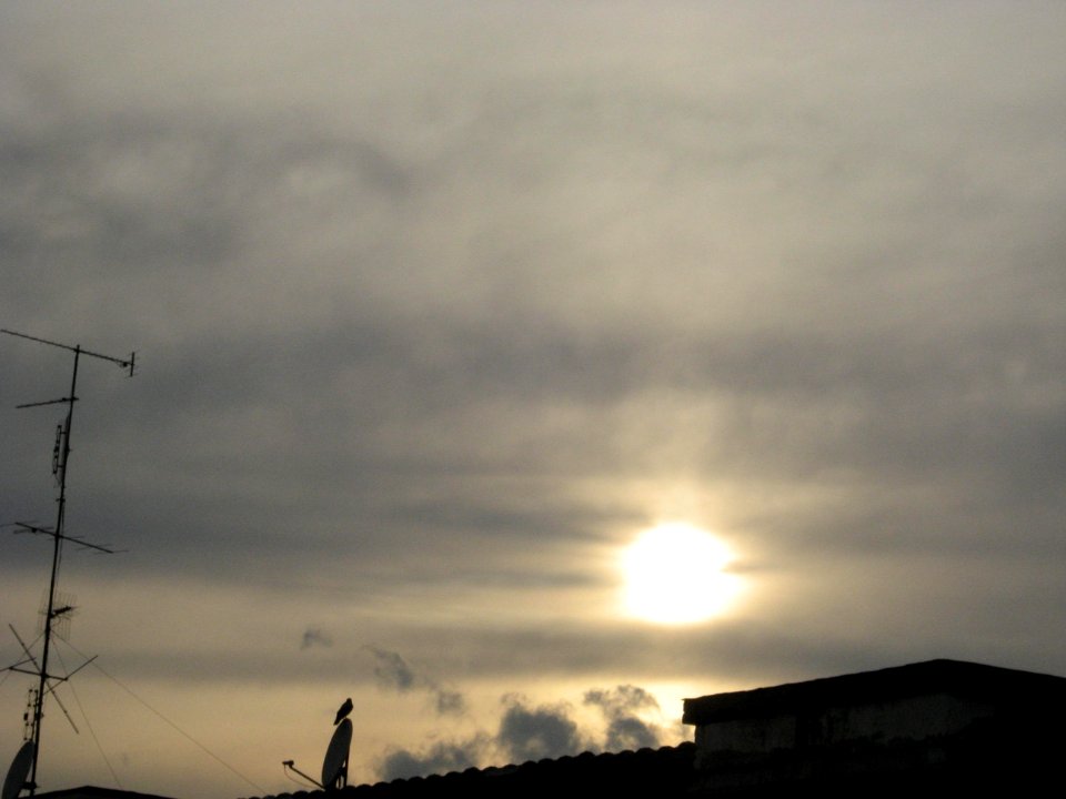 102. UN TRAMONTO SPECIALE (di Viola Marcantoni)