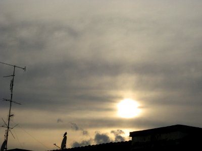 102. UN TRAMONTO SPECIALE (di Viola Marcantoni)